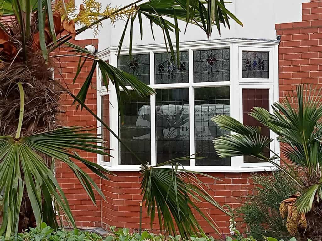 Accoya Windows