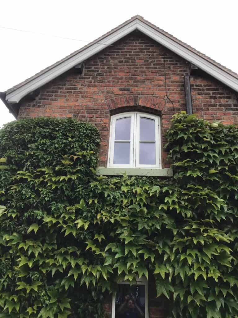 white window
