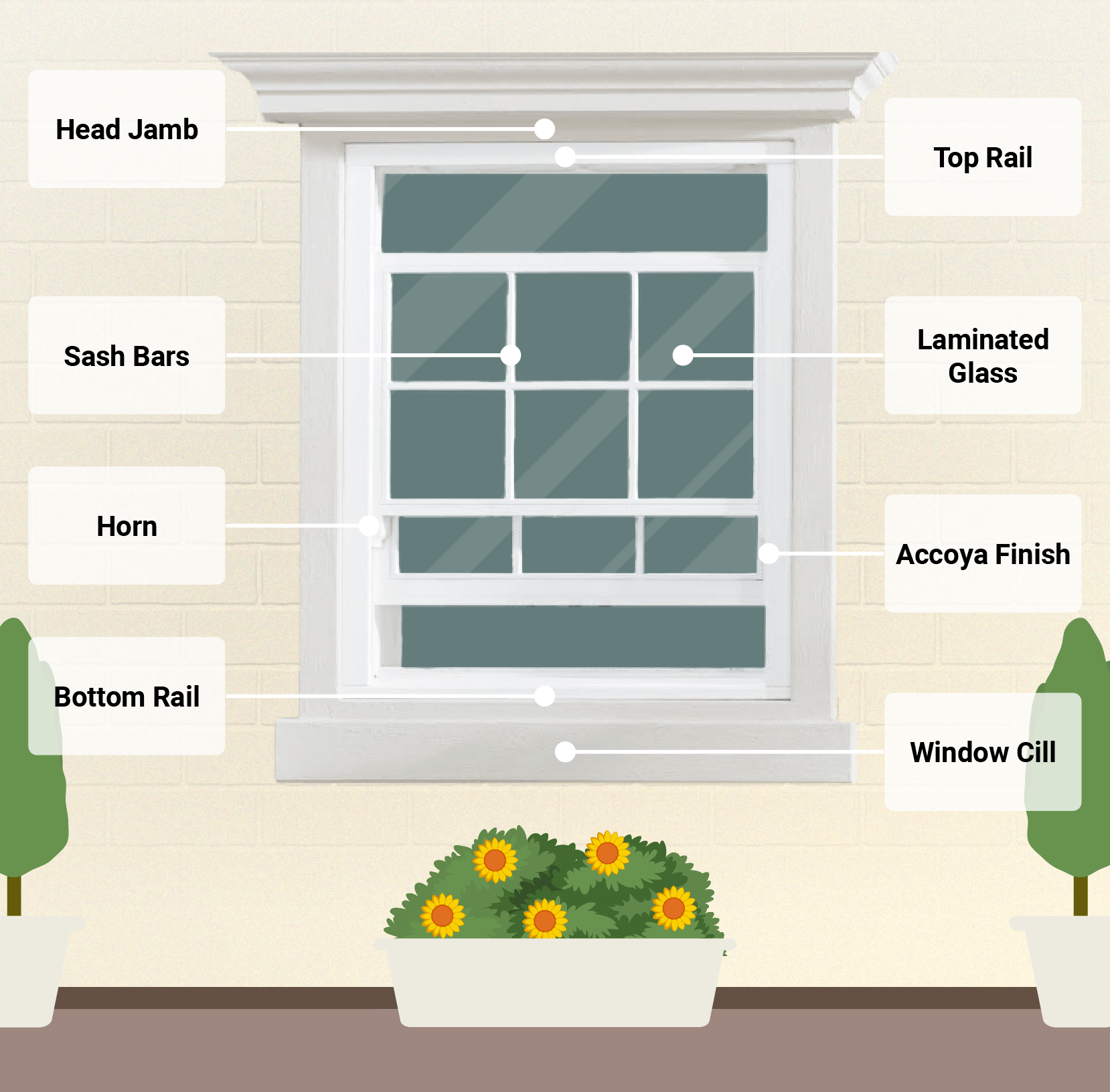 Window Infographic