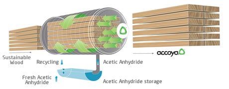 accoya wood